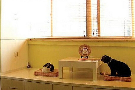 �(y��ng)�_�����b��Ч���D